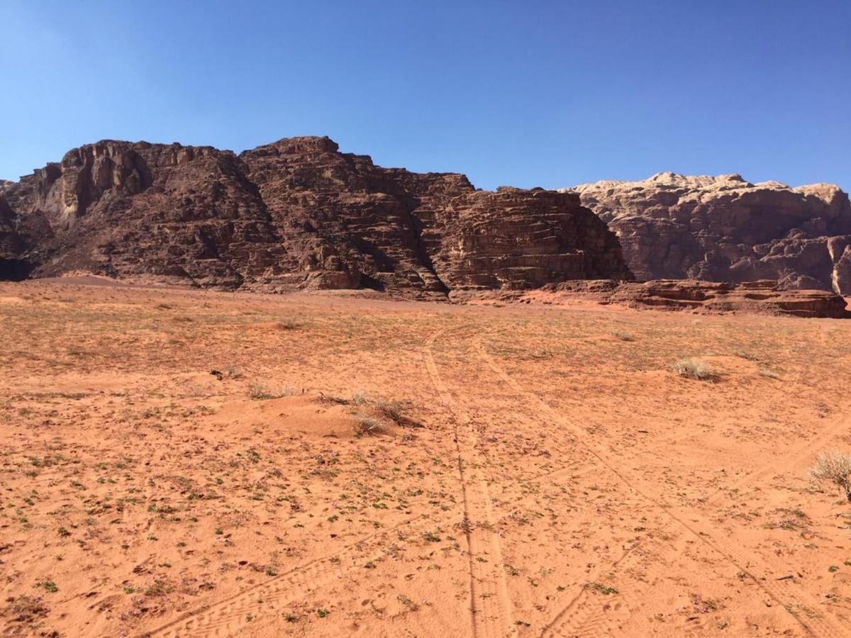 Hotel Wadi Rum Bedouin Experience Extérieur photo