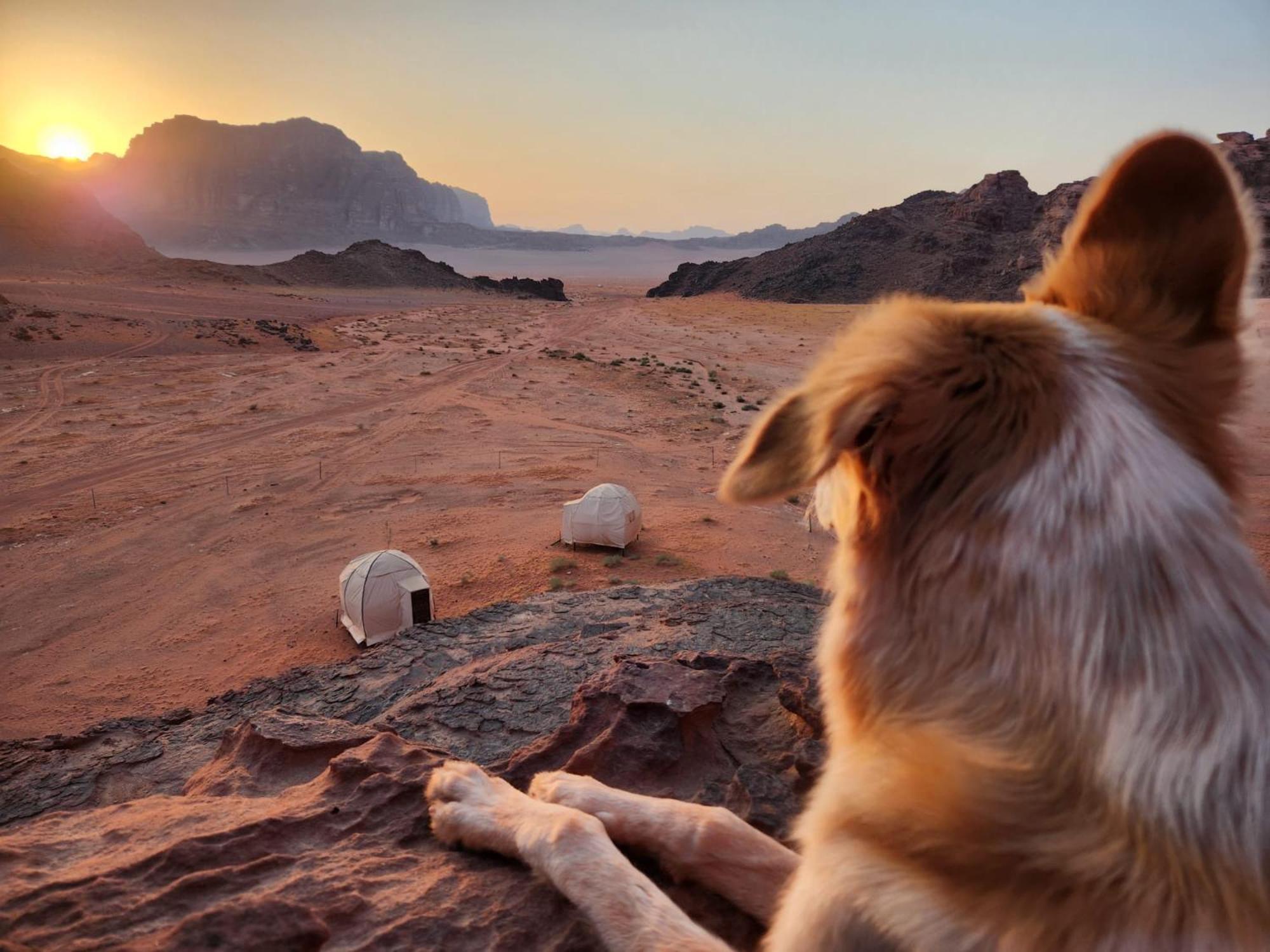 Hotel Wadi Rum Bedouin Experience Extérieur photo