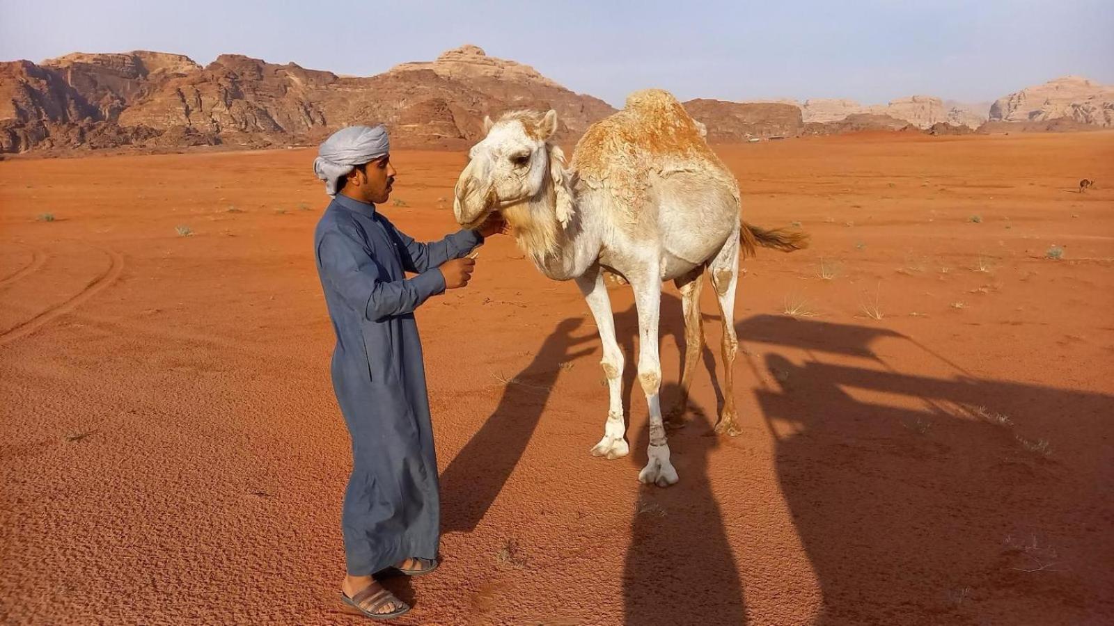 Hotel Wadi Rum Bedouin Experience Extérieur photo